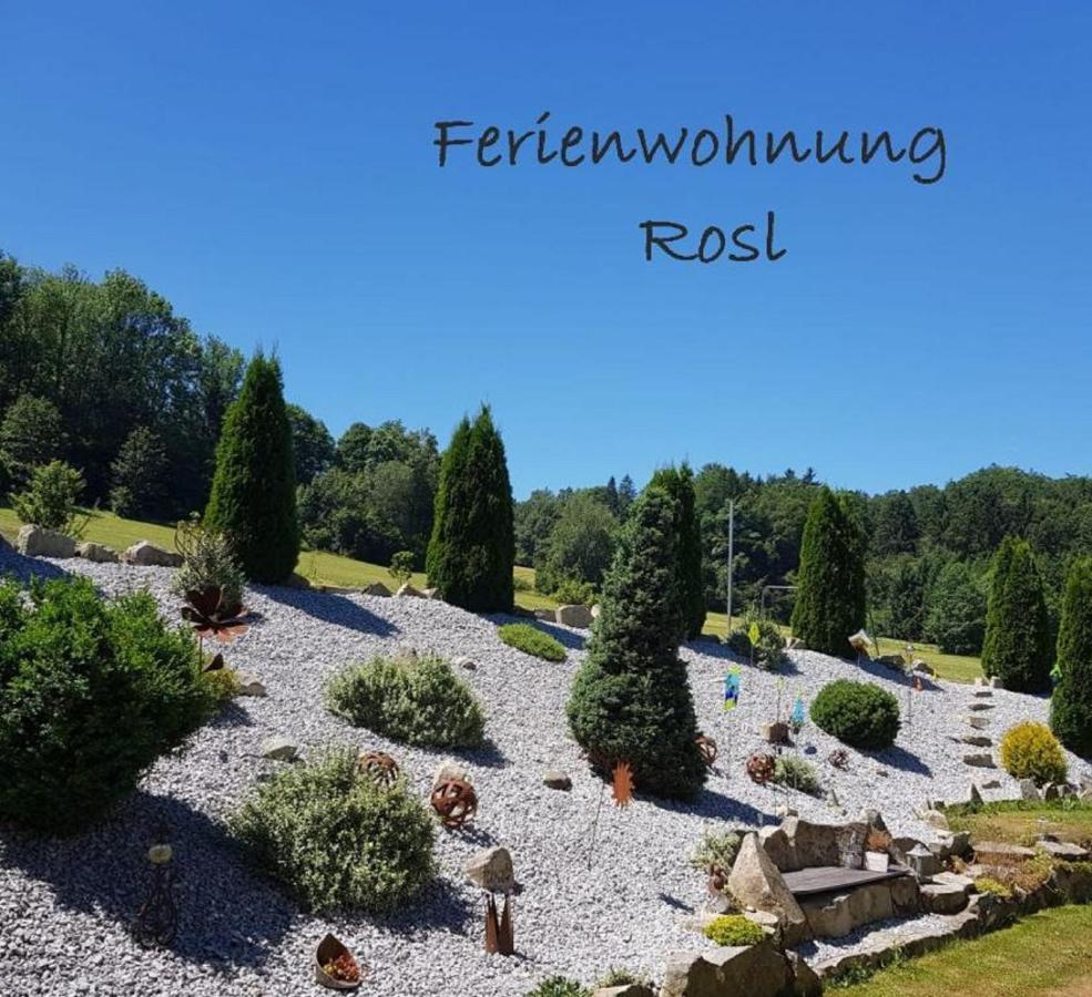 Ferienwohnung Rosl Waldkirchen Exteriér fotografie